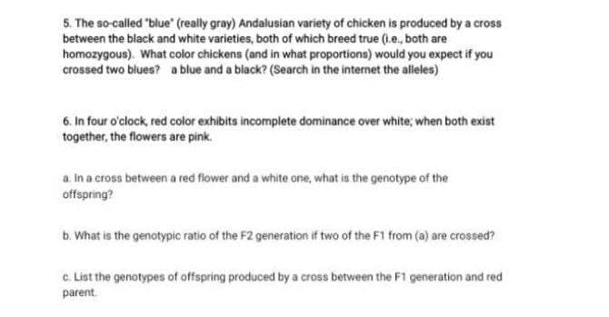 5. The so-called "blue" (really gray) Andalusian variety of chicken is produced by a cross
between the black and white varieties, both of which breed true (i.e., both are
homozygous). What color chickens (and in what proportions) would you expect if you
crossed two blues? a blue and a black? (Search in the internet the alleles)
6. In four o'clock, red color exhibits incomplete dominance over white; when both exist
together, the flowers are pink.
a. In a cross between a red flower and a white one, what is the genotype of the
offspring?
b. What is the genotypic ratio of the F2 generation if two of the F1 from (a) are crossed?
c. List the genotypes of offspring produced by a cross between the F1 generation and red
parent.
