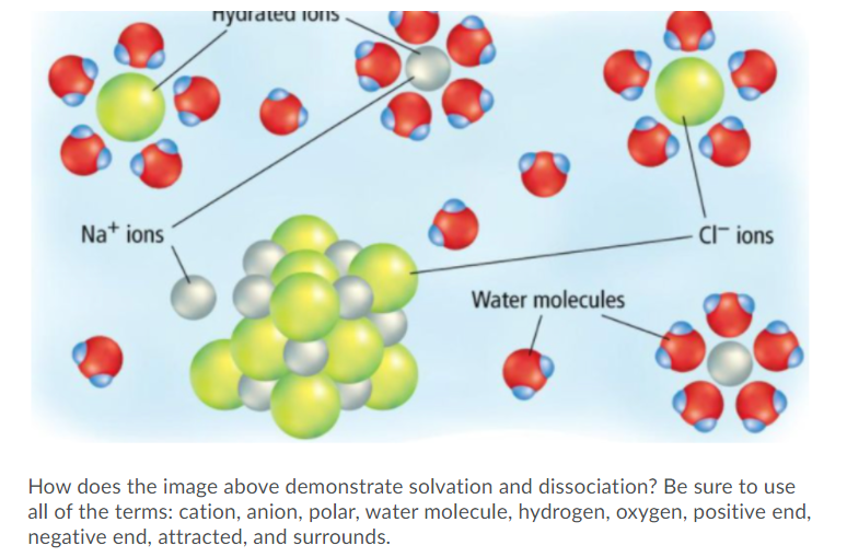 nyurateu ions
Nat ions
CI- ions
Water molecules
How does the image above demonstrate solvation and dissociation? Be sure to use
all of the terms: cation, anion, polar, water molecule, hydrogen, oxygen, positive end,
negative end, attracted, and surrounds.
