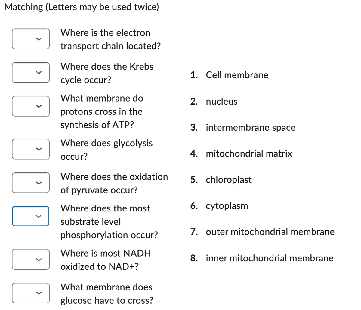 Matching (Letters may be used twice)
DD DDD DD
Where is the electron
transport chain located?
Where does the Krebs
cycle occur?
What membrane do
protons cross in the
synthesis of ATP?
Where does glycolysis
occur?
Where does the oxidation
of pyruvate occur?
Where does the most
substrate level
phosphorylation occur?
Where is most NADH
oxidized to NAD+?
What membrane does
glucose have to cross?
1. Cell membrane
2. nucleus
3. intermembrane space
4. mitochondrial matrix
5. chloroplast
6. cytoplasm
7. outer mitochondrial membrane
8. inner mitochondrial membrane