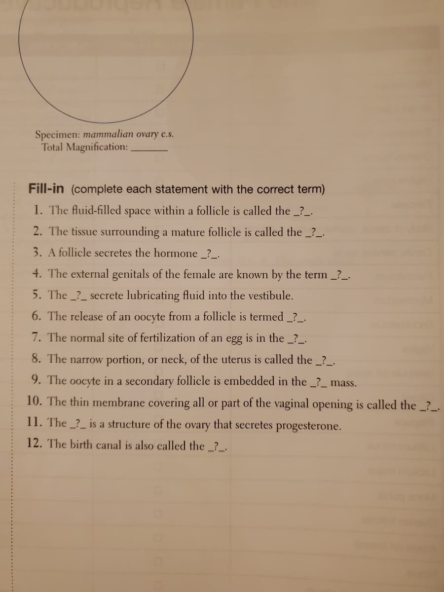 Specimen: mammalian ovary c.s.
Total Magnification:
Fill-in (complete each statement with the correct term)
1. The fluid-filled
space
within a follicle is called the _?_.
2. The tissue surrounding a mature follicle is called the _?_.
3. A follicle secretes the hormone _?_.
4. The external genitals of the female are known by the term _?_.
5. The ?_ secrete lubricating fluid into the vestibule.
6. The release of an oocyte from a follicle is termed _?_.
7. The normal site of fertilization of an egg is in the _?_.
8. The narrow portion, or neck, of the uterus is called the _?_.
9. The oocyte in a secondary follicle is embedded in the _?_ mass.
10. The thin membrane covering all or part of the vaginal opening is called the _?_.
11. The _?_ is a structure of the ovary that secretes progesterone.
12. The birth canal is also called the ?_.
