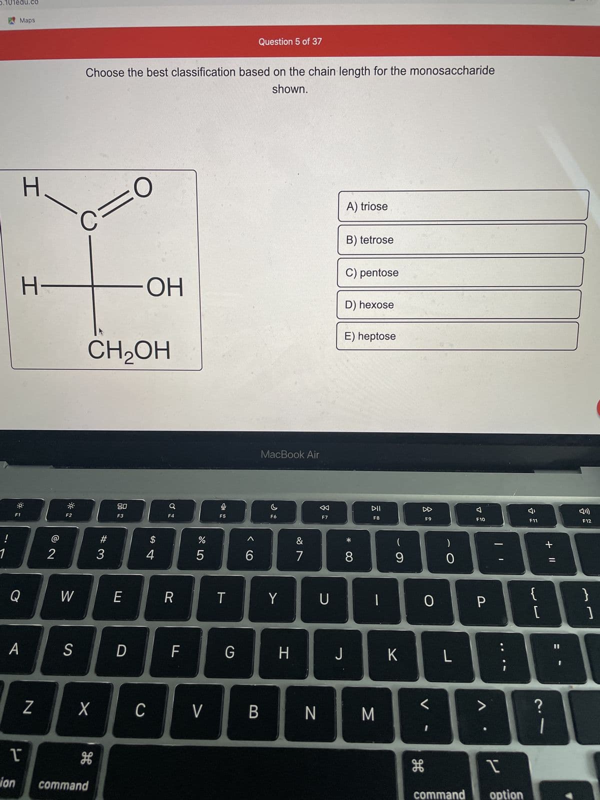 **Question 5 of 37**

Choose the best classification based on the chain length for the monosaccharide shown.

*Image Description:* 
There is a structural formula of a molecule displayed on the left side of the screen. It consists of the following groups:
- A carbon atom (central) bonded to:
  - One hydroxyl group (OH)
  - One hydrogen atom (H)
  - One aldehyde group (C=O)
  - One methylene glycol group (CH2OH)

*Answer Choices:*
A) triose
B) tetrose
C) pentose
D) hexose
E) heptose

**Explanation:** 
The image illustrates a monosaccharide with four carbon atoms in its chain. To classify it based on the number of carbon atoms:
- A **triose** has three carbon atoms.
- A **tetrose** has four carbon atoms.
- A **pentose** has five carbon atoms.
- A **hexose** has six carbon atoms.
- A **heptose** has seven carbon atoms.

Therefore, the correct classification of the monosaccharide shown is **B) tetrose**.