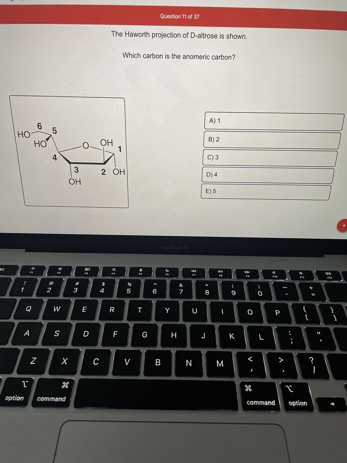 **Question 11 of 37**

The Haworth projection of D-altrose is shown.

Which carbon is the anomeric carbon?

*Image description:*
The image shows the Haworth projection of D-altrose, a cyclic structure depicted with carbon atoms numbered from 1 to 6. The structure is hexagonal with a ring of oxygen at the top right connecting Carbon 1 (C1) and Carbon 5 (C5). The following groups are attached on each carbon:
- Carbon 1 (anomeric carbon): — OH
- Carbon 2: — OH
- Carbon 3: — OH
- Carbon 4: — OH
- Carbon 5: — CH2OH
- Carbon 6: — OH (pointing upwards)

Each carbon atom is part of the ring and contributes to the hexagonal arrangement.

**Options:**
A) 1
B) 2
C) 3
D) 4
E) 5