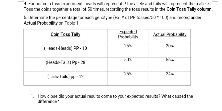 4. For our coin-toss experiment, heads will represent P the allele and tails will represent the p allele.
Toss the coins together a total of 50 times, recording the toss results in the Coin Toss Tally column.
5. Determine the percentage for each genotype (Ex. # of PP tosses/50 * 100) and record under
Actual Probability on Table 1.
Coin Toss Tally
Expected
Probability
Actual Probability
25%
20%
(Heads-Heads) PP - 10
50%
56%
(Heads-Tails) Pp - 28
25%
24%
(Tails-Tails) pp - 12
1. How close did your actual results come to your expected results? What caused the
difference?
