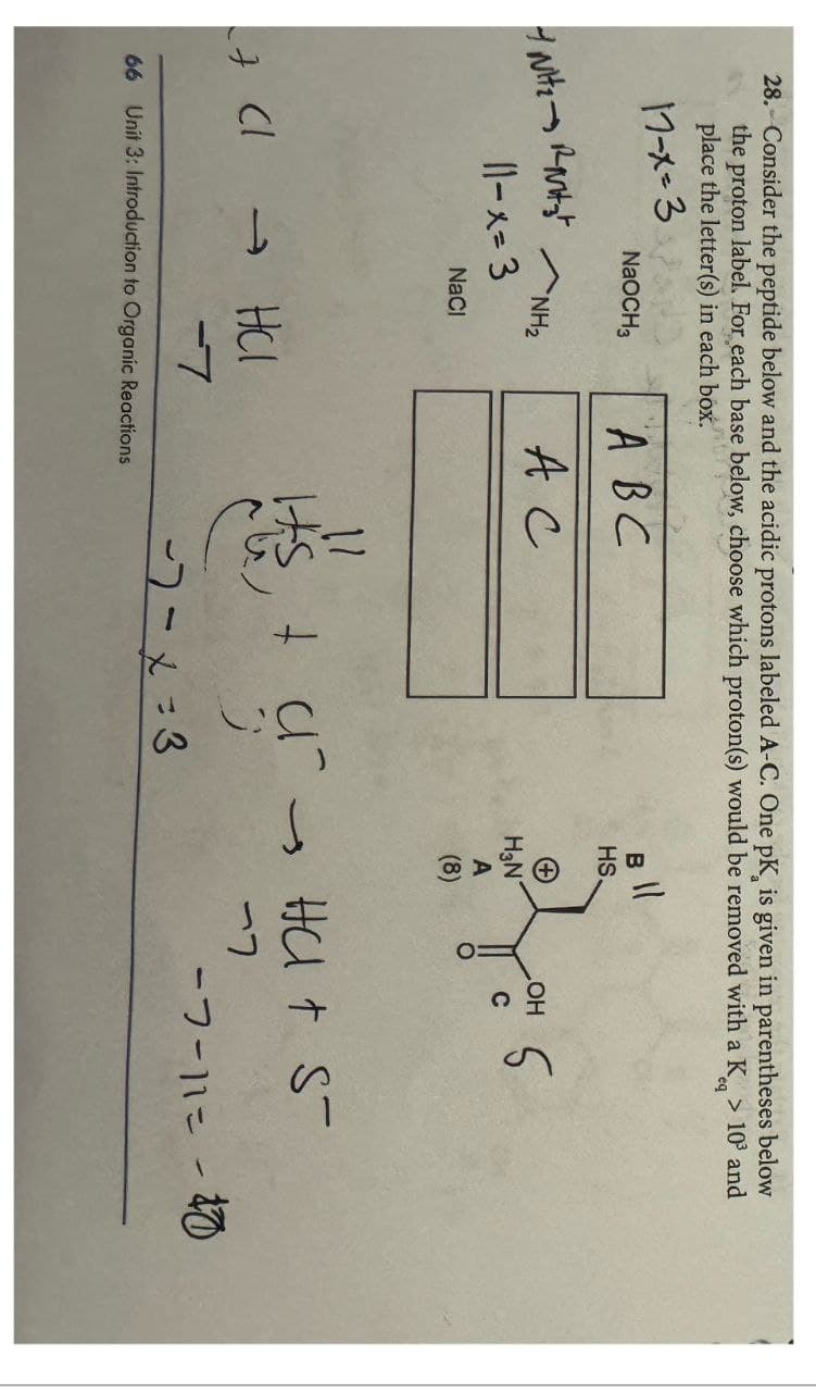 28. Consider the peptide below and the acidic protons labeled A-C. One pK, is given in parentheses below
the proton label. For each base below, choose which proton(s) would be removed with a K > 10³ and
place the letter(s) in each box.
eq
1フーメニ3
Nit₂ R₂
NaOCH3
11-x=3
27 (→
NH₂
NaCl
HCI
A B C
Ас
-7
66 Unit 3: Introduction to Organic Reactions
11
Its t
11
B
HS.
+
H3N
A
(8)
OH 5
a Hat S
3
77
--x=3
-7-11= -40