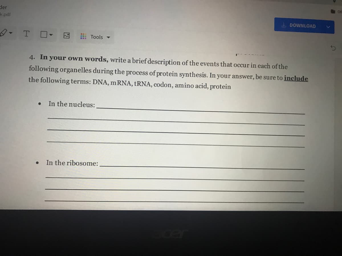 der
k.pdf
I DOWNLOAD
T.
因
Tools -
4. In your own words, write a brief description of the events that occur in each of the
following organelles during the process of protein synthesis. In your answer, be sure to include
the following terms: DNA, mRNA, TRNA, codon, amino acid, protein
In the nucleus:
In the ribosome:
cer
