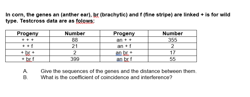 In corn, the genes an (anther ear), br (brachytic) and f (fine stripe) are linked + is for wild
type. Testcross data are as folows:
一
Progeny
Number
Progeny
Number
+ + +
88
an + +
355
+ +f
an +f
an br +
an br f
21
2
br +
+ br f
+
17
399
55
A.
Give the sequences of the genes and the distance between them.
В.
What is the coefficient of coincidence and interference?
