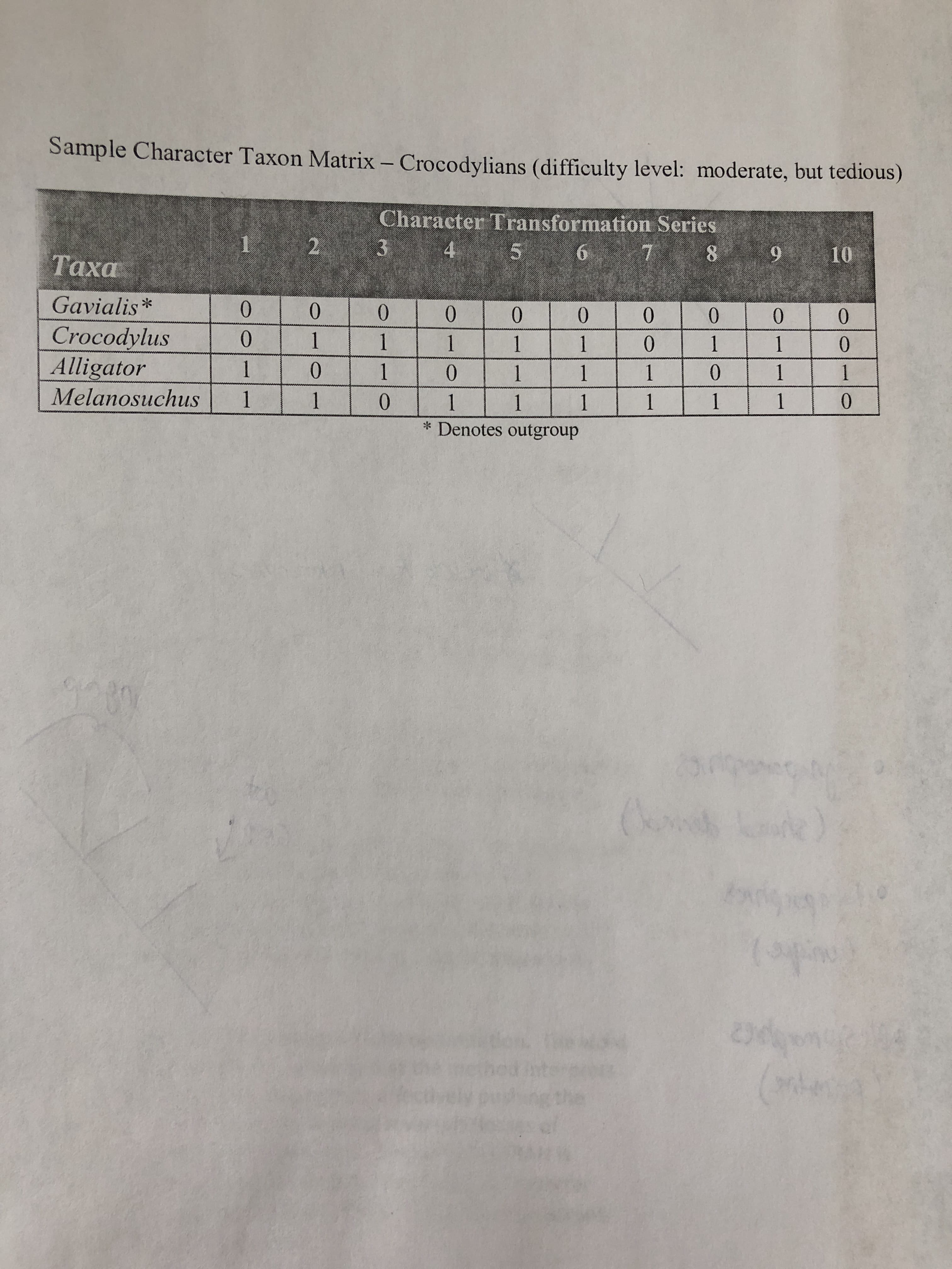 Sample Character Taxon Matrix – Crocodylians (difficulty level: moderate, but tedious)
Character Transformation Series
1 2 3
4
5 6
7
9
10
8.
Таха
Gavialis*
0.
0.
0.
0.
0.
0.
Crocodylus
Alligator
Melanosuchus
0.
1
1
1
1
1
1
1
0.
1
1
1
1
1
1
1
1
1
1
1
1
1
1
1
* Denotes outgroup
