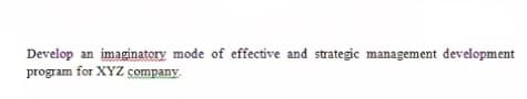Develop an imaginatory mode of effective and strategic management development
program for XYZ company.

