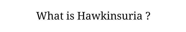 What is Hawkinsuria ?
