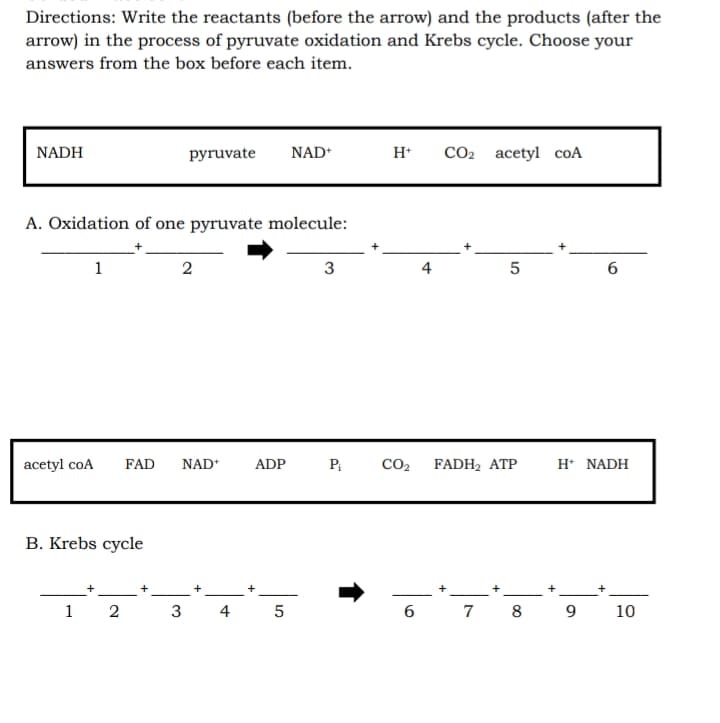 Directions: Write the reactants (before the arrow) and the products (after the
arrow) in the process of pyruvate oxidation and Krebs cycle. Choose your
answers from the box before each item.
NADH
pyruvate
NAD*
H*
CO2 acetyl coA
A. Oxidation of one pyruvate molecule:
1
2
3
4
5
acetyl coA
FAD
NAD*
ADP
CO2
FADH2 ATP
H* NADH
B. Krebs cycle
1
2
3
4
5
6
7 8
9
10
