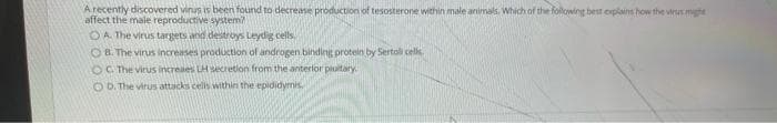 A recently discovered vinus is been found to decrease production of tesosterone within male animals. Which of the folowing best explains how the vins mighe
affect the male reproductive system
OA The virus targets and destroys Leydig cells.
OB. The virus increases production of androgen binding protein by Sertol celk,
OC. The virus increaes LH secretion from the anterior piuitary.
O D. The virus attacks cells within the epididymis
