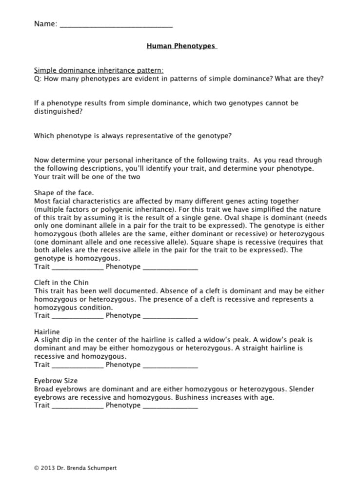 Name:
Human Phenotypes
Simple dominance inheritance pattern:
Q: How many phenotypes are evident in patterns of simple dominance? What are they?
If a phenotype results from simple dominance, which two genotypes cannot be
distinguished?
Which phenotype is always representative of the genotype?
Now determine your personal inheritance of the following traits. As you read through
the following descriptions, you'll identify your trait, and determine your phenotype.
Your trait will be one of the two
Shape of the face.
Most facial characteristics are affected by many different genes acting together
(multiple factors or polygenic inheritance). For this trait we have simplified the nature
of this trait by assuming it is the result of a single gene. Oval shape is dominant (needs
only
homozygous (both alleles are the same, either dominant or recessive) or heterozygous
(one dominant allele and one recessive allele). Square shape is recessive (requires that
both alleles are the recessive allele in the pair for the trait to be expressed). The
genotype is homozygous.
Trait
domin
allele in a pair for the trait t
expressed). The genotype
either
Phenotype
Cleft in the Chin
This trait has been well documented. Absence of a cleft is dominant and may be either
homozygous or heterozygous. The presence of a cleft is recessive and represents a
homozygous condition.
Trait
Phenotype
Hairline
A slight dip in the center of the hairline is called a widow's peak. A widow's peak is
dominant and may be either homozygous or heterozygous. A straight hairline is
recessive and homozygous.
Trait
Phenotype
Eyebrow Size
Broad eyebrows are dominant and are either homozygous or heterozygous. Slender
eyebrows are recessive and homozygous. Bushiness increases with age.
Trait
Phenotype
© 2013 Dr. Brenda Schumpert
