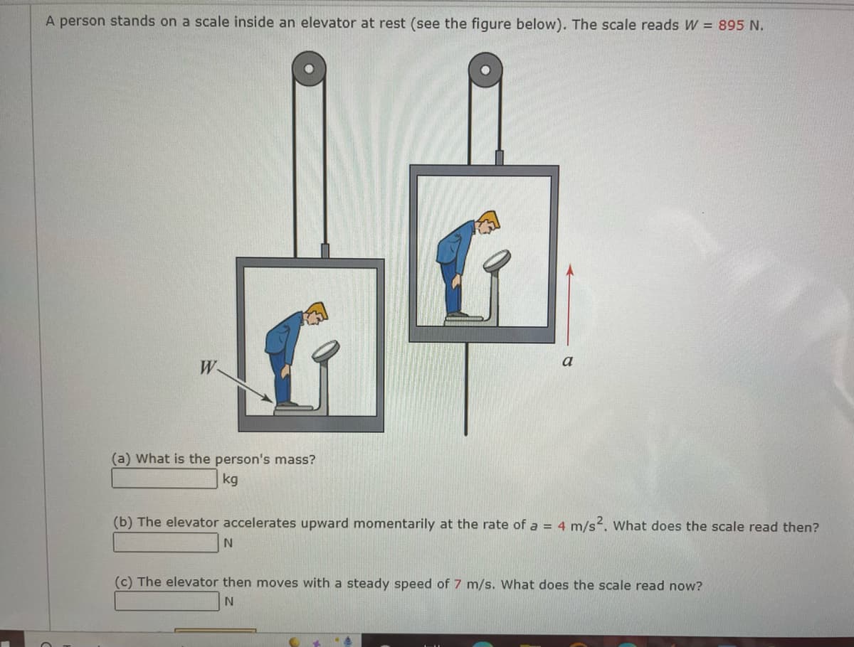 A person stands on a scale inside an elevator at rest (see the figure below). The scale reads W = 895 N.
W
(a) What is the person's mass?
kg
a
(b) The elevator accelerates upward momentarily at the rate of a = 4 m/s2. What does the scale read then?
N
(c) The elevator then moves with a steady speed of 7 m/s. What does the scale read now?
N