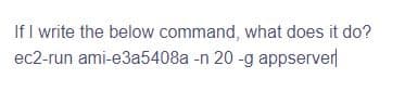 If I write the below command, what does it do?
ec2-run ami-e3a5408a -n 20-g appserver