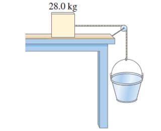 28.0 kg
