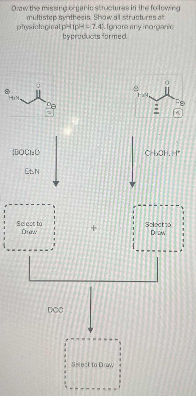 Draw the missing organic structures in the following
multistep synthesis. Show all structures at
physiological pH (pH 7.4). Ignore any inorganic
byproducts formed.
=
HaN,
°
回ǒ
Θ
HaN.
00
(BOC)20
EtзN
CH3OH, H+
Select to
Draw
+
Select to
Draw
DCC
Select to Draw