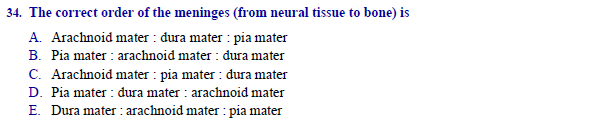 meninges
