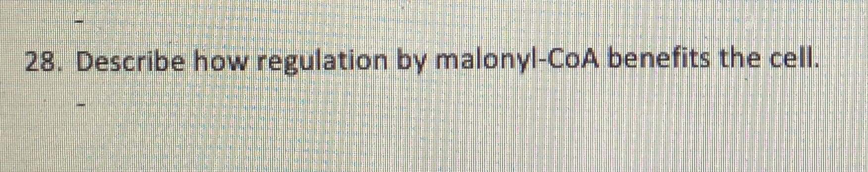 28. Describe how regulation by malonyl-CoA benefits the cell.
