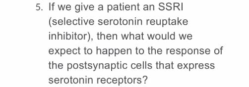 **Question 5:**

If we give a patient an SSRI (selective serotonin reuptake inhibitor), then what would we expect to happen to the response of the postsynaptic cells that express serotonin receptors?

---

This question is relevant in the context of understanding the effects of SSRIs on neuronal communication and is commonly discussed in neurobiology and psychopharmacology courses. SSRIs are a class of drugs typically used in the treatment of depression and anxiety disorders. By inhibiting the reuptake of serotonin, SSRIs increase the concentration of serotonin in the synaptic cleft, which can enhance the activation of postsynaptic serotonin receptors. This increased activation is believed to contribute to the therapeutic effects of SSRIs. The response of postsynaptic cells would, therefore, be expected to increase due to the higher availability of serotonin to bind to its receptors. This has implications for mood regulation and the treatment of mood disorders.