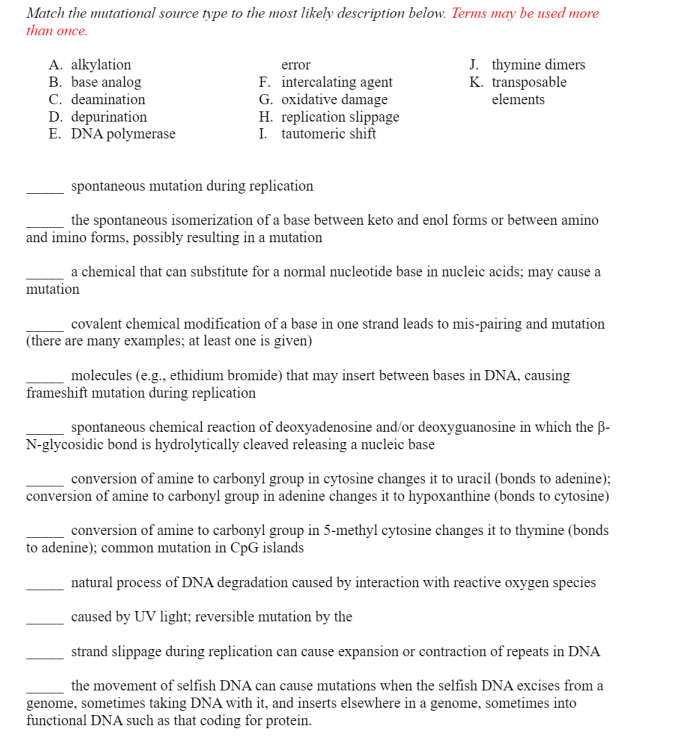 Match the mutational source type to the most likely description below. Terms may be used more
than once.
A. alkylation
B. base analog
C. deamination
D. depurination
E. DŇA polymerase
J. thymine dimers
K. transposable
elements
error
F. intercalating agent
G. oxidative damage
H. replication slippage
I. tautomeric shift
spontaneous mutation during replication
the spontaneous isomerization of a base between keto and enol forms or between amino
and imino forms, possibly resulting in a mutation
a chemical that can substitute for a normal nucleotide base in nucleic acids; may cause a
mutation
covalent chemical modification of a base in one strand leads to mis-pairing and mutation
(there are many examples; at least one is given)
molecules (e.g., ethidium bromide) that may insert between bases in DNA, causing
frameshift mutation during replication
spontaneous chemical reaction of deoxyadenosine and/or deoxyguanosine in which the B-
N-glycosidic bond is hydrolytically cleaved releasing a nucleic base
conversion of amine to carbonyl group in cytosine changes it to uracil (bonds to adenine);
conversion of amine to carbonyl group in adenine changes it to hypoxanthine (bonds to cytosine)
conversion of amine to carbonyl group in 5-methyl cytosine changes it to thymine (bonds
to adenine); common mutation in CpG islands
natural process of DNA degradation caused by interaction with reactive oxygen species
caused by UV light; reversible mutation by the
strand slippage during replication can cause expansion or contraction of repeats in DNA
the movement of selfish DNA can cause mutations when the selfish DNA excises from a
genome, sometimes taking DNA with it, and inserts elsewhere in a genome, sometimes into
functional DNA such as that coding for protein.
