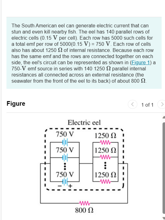 The South American eel can generate electric current that can
stun and even kill nearby fish. The eel has 140 parallel rows of
electric cells (0.15 V per cell). Each row has 5000 such cells for
a total emf per row of 5000(0.15 V) = 750 V. Each row of cells
also has about 1250S of internal resistance. Because each row
has the same emf and the rows are connected together on each
side, the eel's circuit can be represented as shown in (Figure 1) a
750-V emf source in series with 140 1250 2 parallel internal
resistances all connected across an external resistance (the
seawater from the front of the eel to its back) of about 800 2.
Figure
Electric eel
750 V
750 V
750 V
1250 Ω
|1250 Ω
ww
:
ww
800 Ω
1250 Ω
www
<
1 of 1