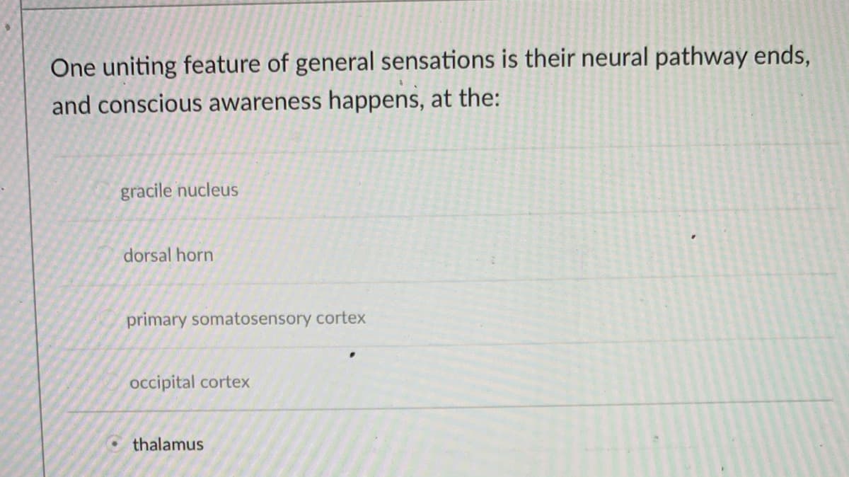 One uniting feature of general sensations is their neural pathway ends,
and conscious awareness happens, at the:
gracile nucleus
dorsal horn
primary somatosensory cortex
occipital cortex
Cthalamus
