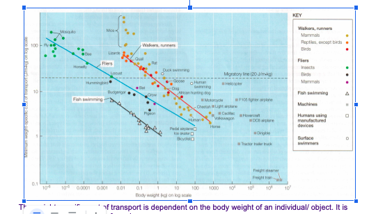 KEY
Wakers, runners
Mammals
Mosquo
Mo
Repties, xoept birds
100 - Ry e
Wakers, nunners
Birds
Lide
Fiers
Fiers
Inects
Duck swiming
Loost
Migratory ine (20Jimkg
Birds
Humingbe
ounan
Swiming
Mommals
Heloopter
Dog
ican hunting dog
10
Budegar
Fish swimming
Fiah swimming
F er arplere
Motaryce
Machines
-CheetahMLight apa
Cae
Humans using
manufactured
devices
Horat
Vokawagon
Hinane
DCB arplane
Hoe
Padl laned
oesat
Boyda
Drigte
Surface
swimmers
Yactor rer ck
Fight stmer
Freght vain
0.1
10
10
1000
10
10
0.0001
0.001
0.01
0.1
10
100
10
10
Body wight kal on log scale
f transport is dependent on the body weight of an individual/ object. It is
.... . .

