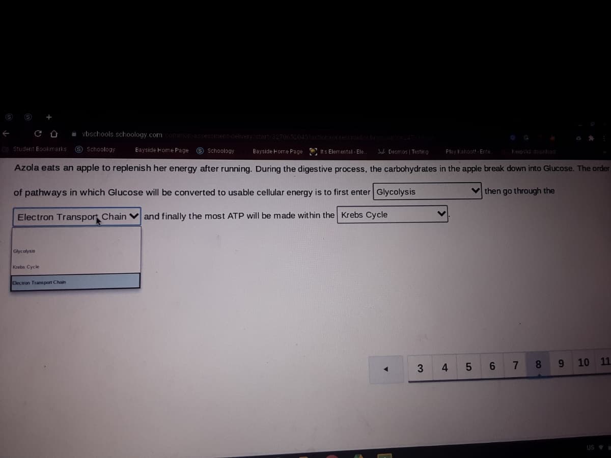 +
i vbschools.schoology.com
delivery/start/3270652045PactionOrT
Co Student Eookmarks S Schoology
Bayside Home Page S Schoology
Bayside Home Page E Its Elemental - Ele
L Desmos | Testing
Play Kahoot! - Ente
Keepid dounload
Azola eats an apple to replenish her energy after running. During the digestive process, the carbohydrates in the apple break down into Glucose. The order
of pathways in which Glucose will be converted to usable cellular energy is to first enter Glycolysis
v then go through the
Electron Transport Chain V and finally the most ATP will be made within the Krebs Cycle
Glycolysis
Krebs Cycle
Electron Transport Chain
6.
8.
9.
10
11
3
4.
US

