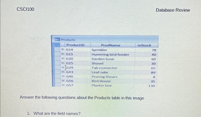 CSC1100
ProductID
ProdName
614
Sprinkler
G15
Humming bird feeder
620
Garden hose
625
Shovel
JG29
Tab connector
G43
Leaf roke
G46
Pruning Shears
656
Bird House
35
G57
Planter box
130
Answer the following questions about the Products table in this image
1. What are the field names?
Products
InStock
Database Review
78
40
60
30
65
89
8