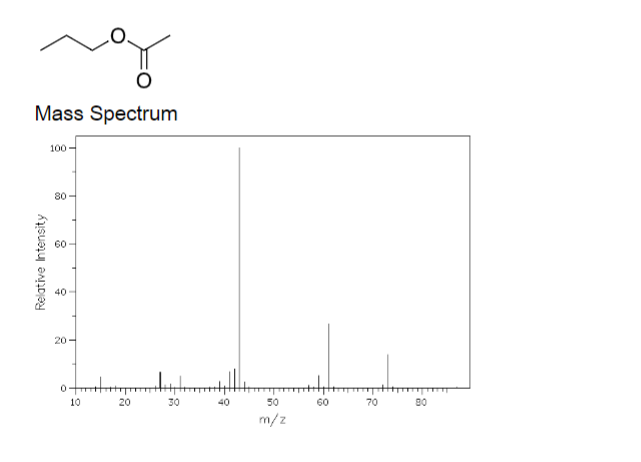 Mass Spectrum
100
80
60
40
20 -
ott
10
20
30
40
50
60
70
80
m/z
Relative Intensity
