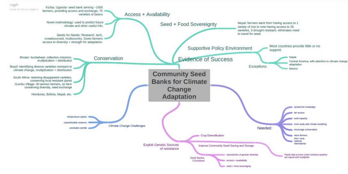 coggle
Kiziba, Uganda-seed bank serving -1000
nude for free at couple. farmers, providing access and exchange, 70
varieties of beans
Novel methodology: used to predict future
climate and other useful info.
Seeds for Needs: Research, tech,
crowdsourced, multicountry. Gives farmers
access to diversity + strength for adaptation.
Bhutan: buckwheat-collection missions,
multiplication + distribution
Brazil: identifying diverse varieties resistant to
climate change, multiplication + distribution
South Africa: restoring disappeared varieties,
conserving local resistant plants
Gumbu Village- 40 women farmers, on farm
conserving diversity, seed exchange
Honduras, Bolivia, Nepal, etc.
Conservation
Access + Availability
Seed + Food Sovereignty
temperature spikes
unpredictable seasons
Climate Change Challenges
unreliable rainfall
Nepal: farmers went from having access to 1
variety of rice to now having access to 26
varieties, 3 drought resistant. eliminates need
to travel for seed.
Supportive Policy Environment
Evidence of Success
Community Seed
Banks for Climate
Change
Adaptation
Exceptions:
Crop Diversification
Exploit Genetic Sources
Improve Community Seed Saving and Storage
of resistance
Seed Banks,
3 functions
repositories of genetic diversity
access+availability
seed+food sovereignty
Most countries provide little or no
support.
Nepal
Central America, with attention to climate change
adaptation
Mexico
Needed:
spread the knowledge
fair access
build capacity
more study with climate modeling
encourage conservation
value farmers
linics-local
national,
International
Plants that survive under extreme weather
are saved and multiplied