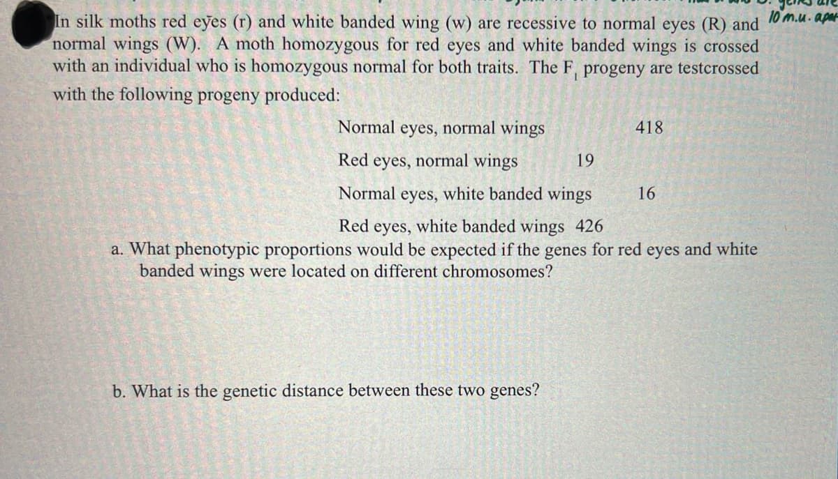 In silk moths red eyes (r) and white banded wing (w) are recessive to normal eyes (R) and 10m.u. apar
normal wings (W). A moth homozygous for red eyes and white banded wings is crossed
with an individual who is homozygous normal for both traits. The F, progeny are testcrossed
with the following progeny produced:
Normal eyes, normal wings
Red eyes, normal wings
19
Normal eyes, white banded wings
Red eyes, white banded wings 426
a. What phenotypic proportions would be expected if the genes for red eyes and white
banded wings were located on different chromosomes?
b. What is the genetic distance between these two genes?
418
16