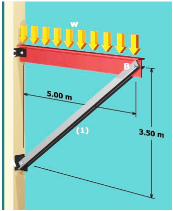 w
11
B
5.00 m
3.50 m
(1)
