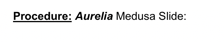 Procedure: Aurelia Medusa Slide:
