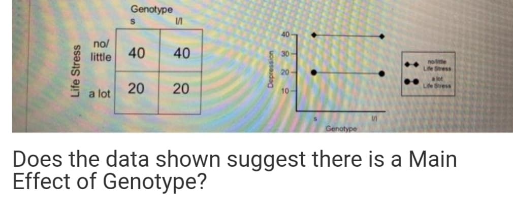 Genotype
40
no/
little
40
40
30-
nostte
Life Stress
20
a lot
Life Stress
20
20
10-
a lot
VI
Genotype
Does the data shown suggest there is a Main
Effect of Genotype?
Life Stress
::
