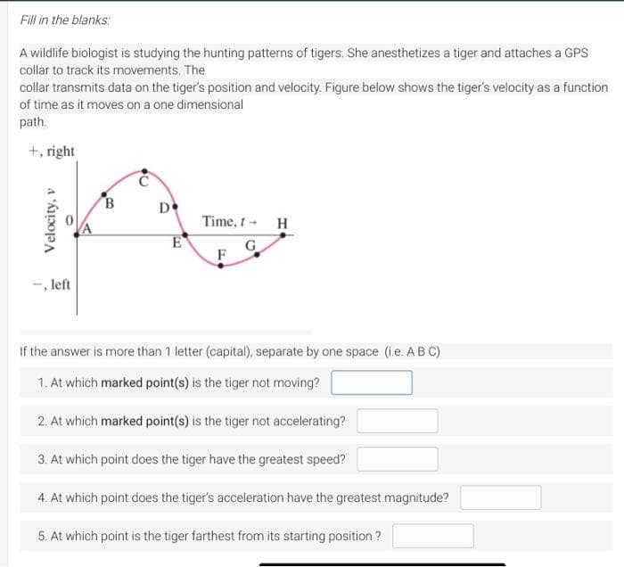 Fill in the blanks:
A wildlife biologist is studying the hunting patterns of tigers. She anesthetizes a tiger and attaches a GPS
collar to track its movements. The
collar transmits data on the tiger's position and velocity. Figure below shows the tiger's velocity as a function
of time as it moves on a one dimensional
path.
+, right
A
Velocity,
-, left
B
D
E
Time, t-
G
F
H
If the answer is more than 1 letter (capital), separate by one space (i.e. A B C)
1. At which marked point(s) is the tiger not moving?
2. At which marked point(s) is the tiger not accelerating?
3. At which point does the tiger have the greatest speed?
4. At which point does the tiger's acceleration have the greatest magnitude?
5. At which point is the tiger farthest from its starting position ?
