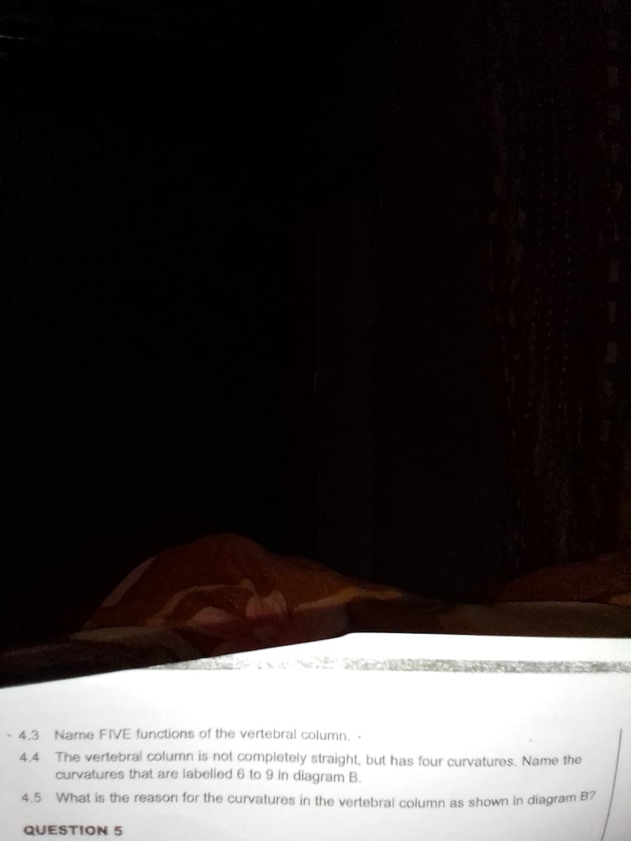 4.3 Name FIVE functions of the vertebral column. .
4.4 The vertebral column is not completely straight, but has four curvatures, Name the
curvatures that are labelled 6 to 9 in diagram B.
4.5 What is the reason for the curvatures in the vertebral column as shown in diagram B
QUESTION 5

