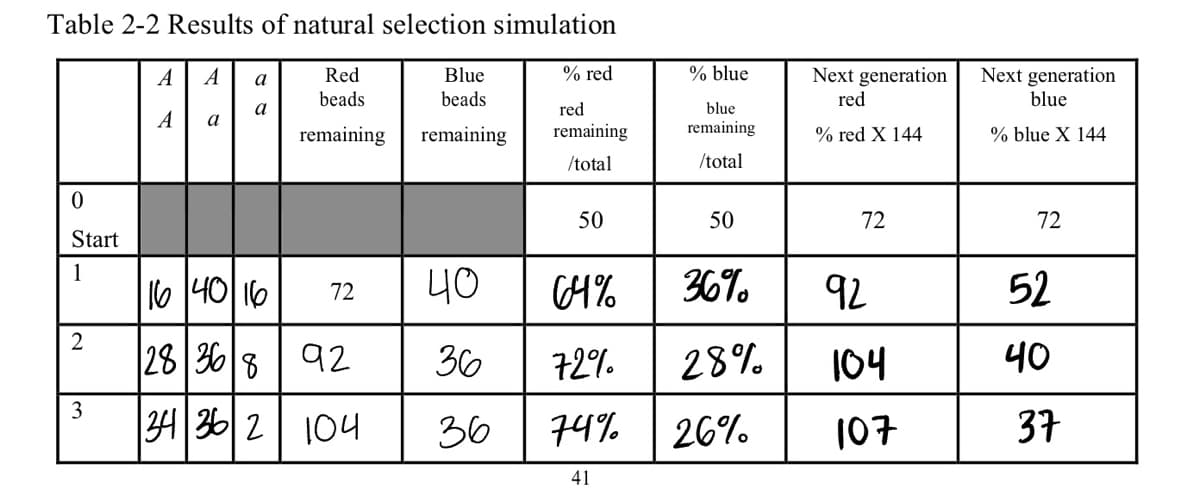 Table 2-2 Results of natural selection simulation
0
Start
1
2
این
3
A A
A
a
a
a
1640 16
Red
beads
remaining
72
28 368 92
34 36 2 104
Blue
beads
remaining
% red
red
remaining
/total
50
40
64%
36 72%.
36 74%
41
% blue
blue
remaining
/total
50
36%
28%
26%
Next generation
red
% red X 144
72
92
104
107
Next generation
blue
% blue X 144
72
52
40
37