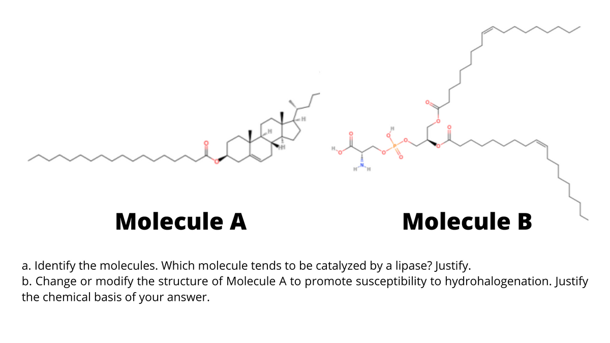 Molecule A
Molecule B
a. Identify the molecules. Which molecule tends to be catalyzed by a lipase? Justify.
b. Change or modify the structure of Molecule A to promote susceptibility to hydrohalogenation. Justify
the chemical basis of your answer.
