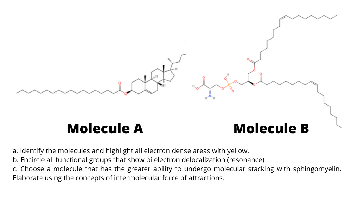 Molecule A
Molecule B
a. Identify the molecules and highlight all electron dense areas with yellow.
b. Encircle all functional groups that show pi electron delocalization (resonance).
c. Choose a molecule that has the greater ability to undergo molecular stacking with sphingomyelin.
Elaborate using the concepts of intermolecular force of attractions.
