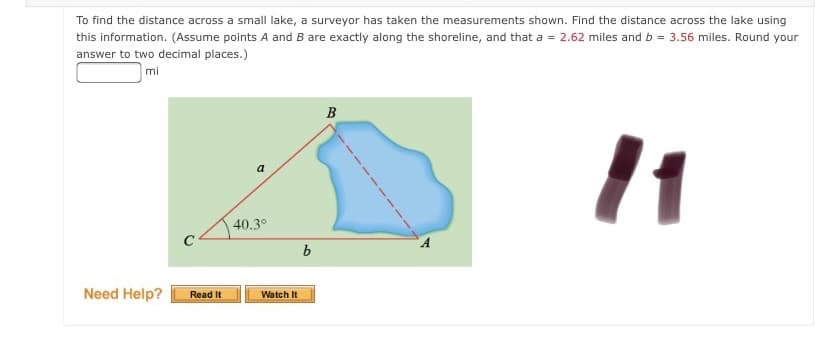 To find the distance across a small lake, a surveyor has taken the measurements shown. Find the distance across the lake using
this information. (Assume points A and B are exactly along the shoreline, and that a = 2.62 miles and b = 3.56 miles. Round your
answer to two decimal places.)
mi
B
a
40.3°
b
Need Help?
Watch It
Read It
