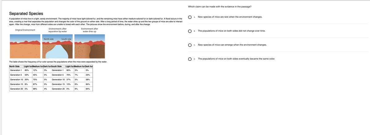 Separated Species
A population of mice live in a light, sandy environment. The majority of mice have light-colored fur, and the remaining mice have either medium-colored fur or dark-colored fur. A flood occurs in the
area, creating a river that separates the population and changes the color of the ground on either side. After a long period of time, the water dries up and the two groups of mice are able to interact
again. After the change, mice from different sides are unable to breed with each other. The pictures show the environment before, during, and after the change.
Original Environment
Generation 5 50%
Generation 10 20%
Generation 15 8%
The table shows the frequency of fur color across the populations when the mice were separated by the water.
North Side Light fur Medium fur Dark fur South Side
Light fur Medium fur Dark fur
90%
Generation 1
85%
12%
3%
5%
5%
Generation 20 0%
45%
75%
87%
96%
North side
5%
5%
Environments after
separation by water
5%
4%
South side
Generation 1
Generation 5
70%
Generation 10 37%
Generation 15 10%
Generation 20 0%
7%
5%
6%
Environment after
water dries up
6%
23%
58%
84%
94%
Which claim can be made with the evidence in the passage?
O
A. New species of mice are rare when the environment changes.
O
B.
The populations of mice on both sides did not change over time.
O
C. New species of mice can emerge when the environment changes.
O
D. The populations of mice on both sides eventually became the same color.