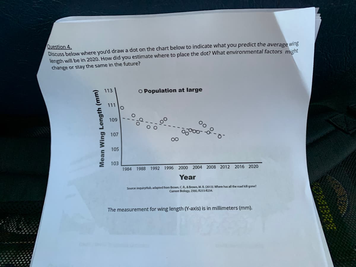 Question 4.
Discuss below where you'd draw a dot on the chart below to indicate what you predict the average wing
length will be in 2020. How did you estimate where to place the dot? What environmental factors might
change or stay the same in the future?
Mean Wing Length (mm)
113
111
109
107
105
103
O
O Population at large
1984 1988 1992 1996 2000 2004 2008 2012 2016 2020
Year
Source: inquiryHub, adapted from Brown, C. R. & Brown, M. B. (2013). Where has all the road kill gone?
Current Biology, 23(6), R233-R234.
The measurement for wing length (Y-axis) is in millimeters (mm).