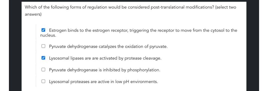 Which of the following forms of regulation would be considered post-translational modifications? (select two
answers)
O Estrogen binds to the estrogen receptor, triggering the receptor to move from the cytosol to the
nucleus.
O Pyruvate dehydrogenase catalyzes the oxidation of pyruvate.
O Lysosomal lipases are are activated by protease cleavage.
Pyruvate dehydrogenase is inhibited by phosphorylation.
O Lysosomal proteases are active in low pH environments.
