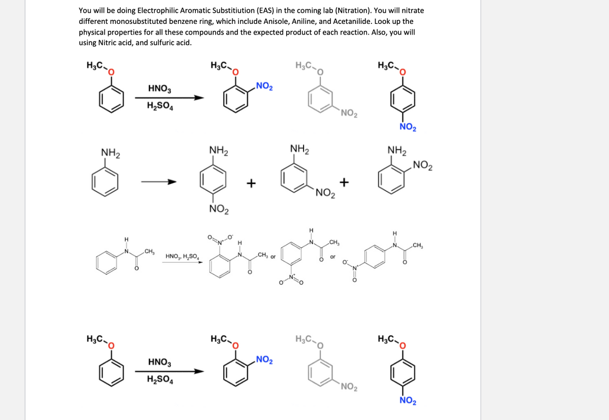 You will be doing Electrophilic Aromatic Substitiution (EAS) in the coming lab (Nitration). You will nitrate
different monosubstituted benzene ring, which include Anisole, Aniline, and Acetanilide. Look up the
physical properties for all these compounds and the expected product of each reaction. Also, you will
using Nitric acid, and sulfuric acid.
H3C-0
H3C-0
H3C-
NO₂
3= 32
HNO3
H₂SO4
NH₂
NH₂
NH₂
NO₂
6-6.5. &
+
NO₂
HNO₂, H₂SO₂
HNO3
H₂SO4
H3C-0
NH₂
NO₂
NO₂
NO₂
CH₂
CH₂
CH₂ or
of Gotzof
H3C-
+
H3C
3
NO₂
NO₂
H3C
CH₂
NO₂