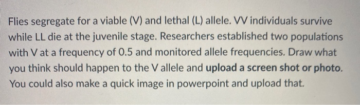 Flies segregate for a viable (V) and lethal (L) allele. VV individuals survive
while LL die at the juvenile stage. Researchers established two populations
with V at a frequency of 0.5 and monitored allele frequencies. Draw what
you think should happen to the V allele and upload a screen shot or photo.
You could also make a quick image in powerpoint and upload that.