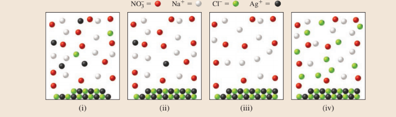 NO, =
Na*
Ag+
(i)
(ii)
(iii)
(iv)
