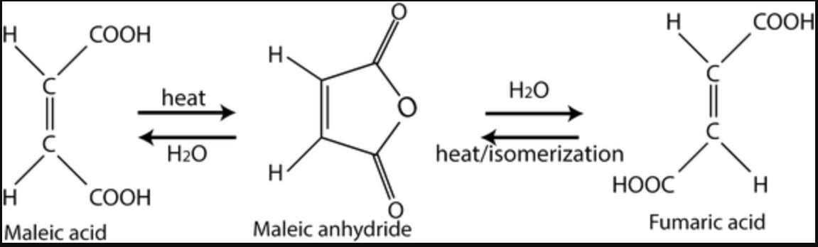 H
COOH
H
COOH
H.
heat
H2O
H2O
heat/isomerization
НООС
H
СООН
Maleic acid
Maleic anhydride
Fumaric acid
