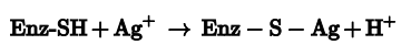 Enz-SH+ Ag+ + Enz – S - Ag+H+
