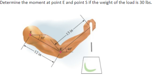 Determine the moment at point E and point S if the weight of the load is 30 lbs.
-13 in-
30
-12 in-
E 40
